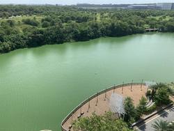 Blk 477B Upper Serangoon View (Hougang), HDB 5 Rooms #220072121